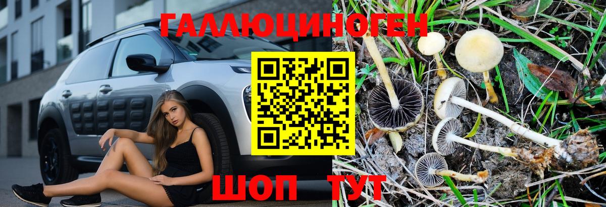 Галлюциногенные грибы Psilocybine cubensis Джанкой